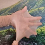 جوراب بالای زانو فول بادکنکی کرم ساده